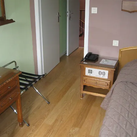 Cheval De Bronze Remiremont