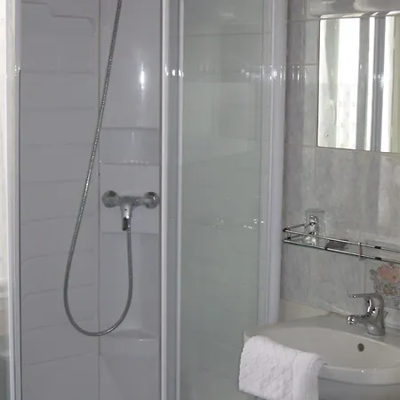 Cheval De Bronze Remiremont