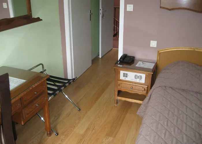 Cheval De Bronze Remiremont