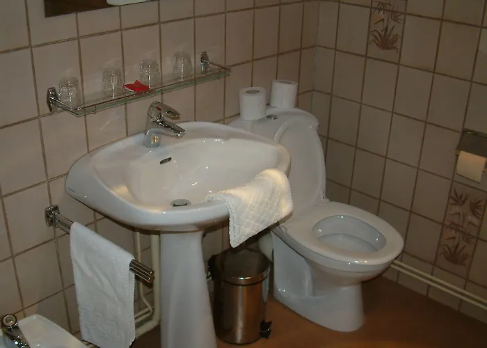 Cheval De Bronze Hotel 2*