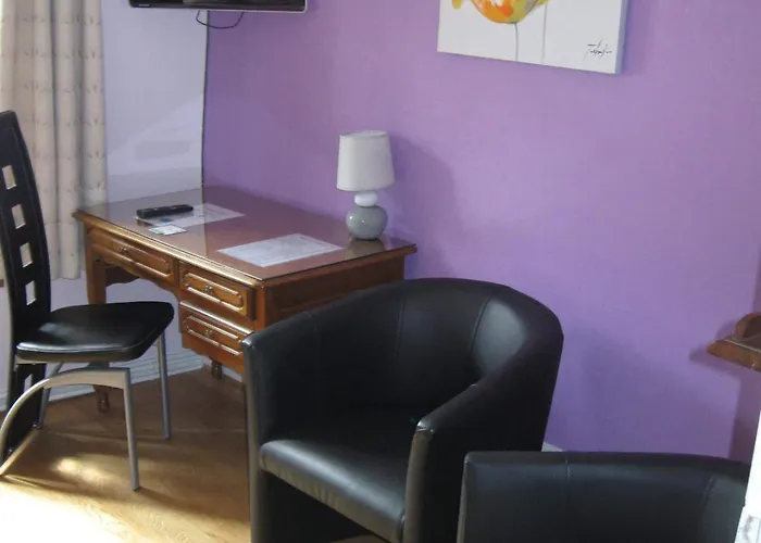 Hotel Cheval De Bronze Remiremont