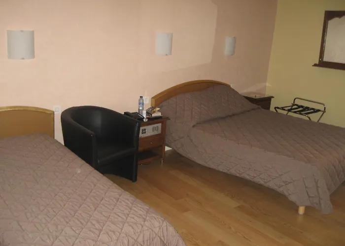 Cheval De Bronze 2* Remiremont