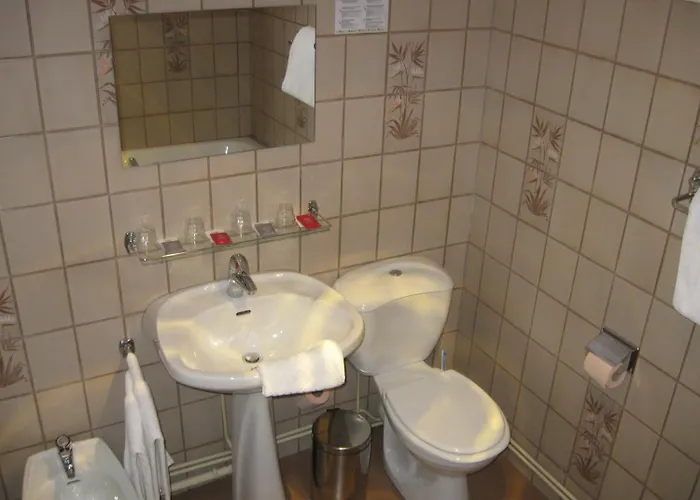 Cheval De Bronze 2* Remiremont