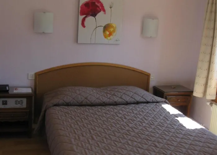 Hotel Cheval De Bronze Remiremont