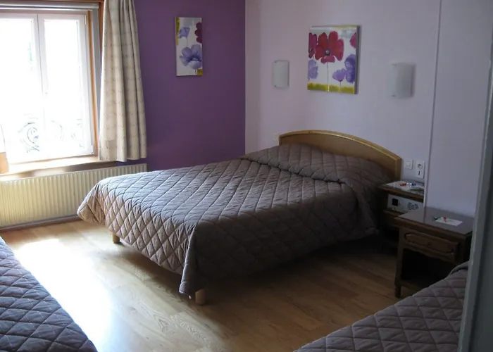 Cheval De Bronze 2* Remiremont